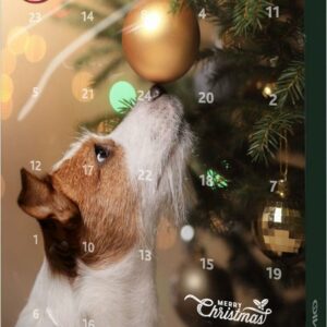 TRIXIE Adventskalender PREMIO Adventskalender für Hunde