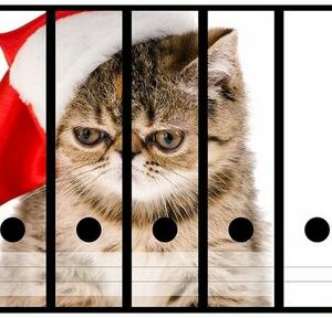 Wallario Etiketten Ich hasse Weihnachten - mürrische Katze mit Weihnachtsmütze, Ordnerrücken-Sticker in verschiedenen Ausführungen