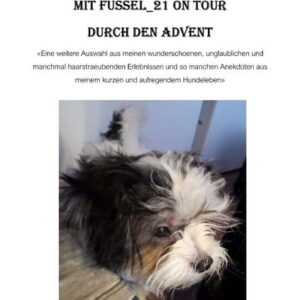 Mit Fussel_21 on Tour durch den Advent