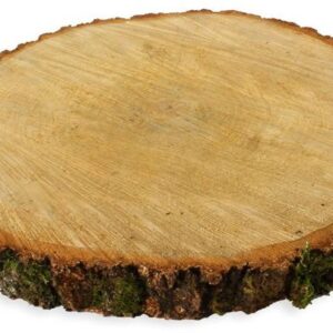 matches21 HOME & HOBBY Bastelnaturmaterial Baumscheiben 1 Stk. Dekoholz Holzscheibe Holzplatte 40 - 45 cm, (1-tlg), 100% deutsche Birkenscheiben für Basteln Dekorieren Tischdeko