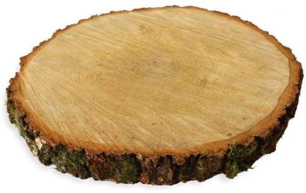 matches21 HOME & HOBBY Bastelnaturmaterial Baumscheiben 1 Stk. Dekoholz Holzscheibe Holzplatte 40 - 45 cm, (1-tlg), 100% deutsche Birkenscheiben für Basteln Dekorieren Tischdeko