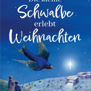 Die kleine Schwalbe erlebt Weihnachten